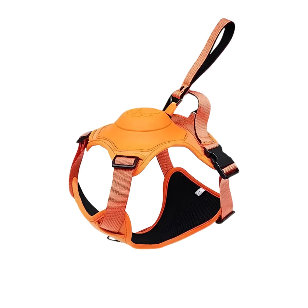 Dog Harness Leash Set
