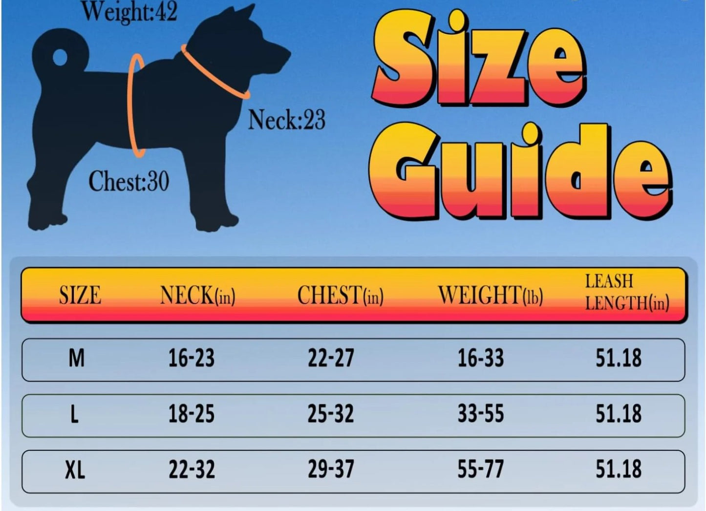 Dog Harness Leash Set
