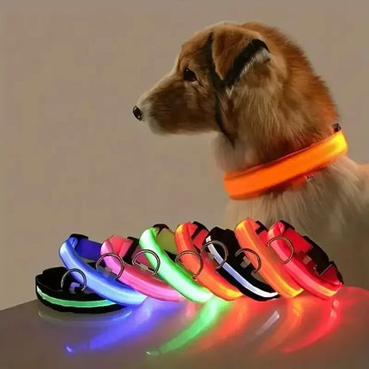 Glow Dog Collar